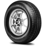 FIRESTONE WILDERNESS HT